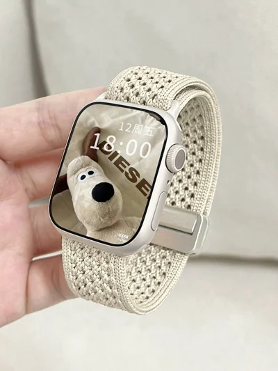 بند اپل واچ مدل بافت ابریشمی مگنتی BA1196